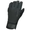Sealskinz All Weather Insulated Waterproof Glove (Black)