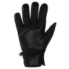Sealskinz Waterproof Extreme Cold Weather Insulated Glove With Fusion Control (Black)