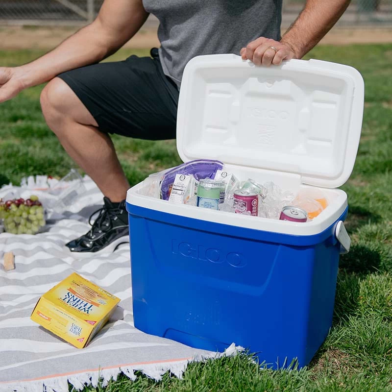 Igloo Laguna 28 Cool Box - 26L - Image 4