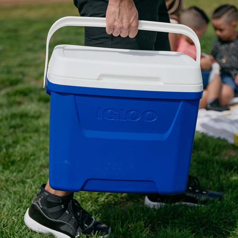 Igloo Laguna 28 Cool Box - 26L - Image 5