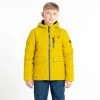 Dare 2b Kids Folly Waterproof Padded Jacket (Moss Yellow)